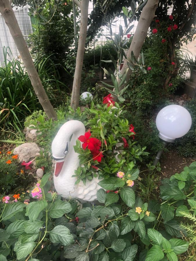 Apartmani Josipa شيبينيك المظهر الخارجي الصورة