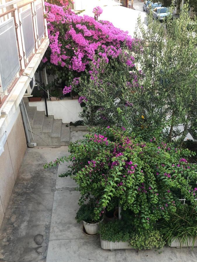 Apartmani Josipa شيبينيك المظهر الخارجي الصورة